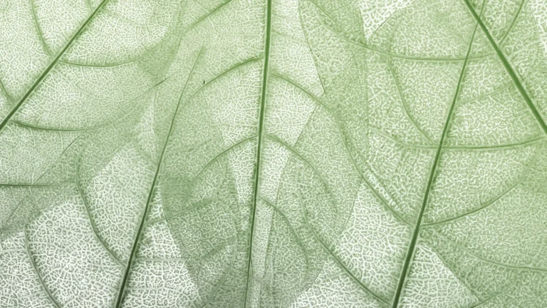 Green Sketching in 5 Steps